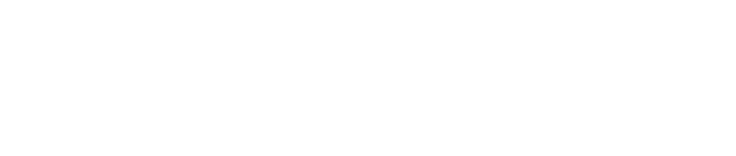 FastEMS FastEMS